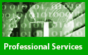 Professional Services